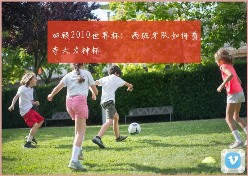 回顾2010世界杯:西班牙队如何首夺大力神杯