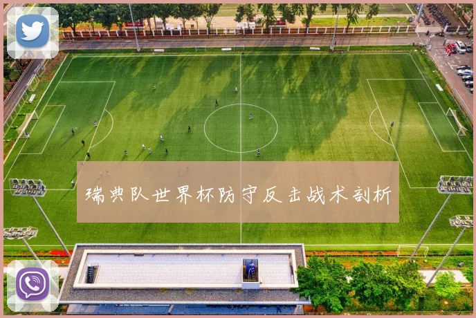 瑞典队世界杯防守反击战术剖析