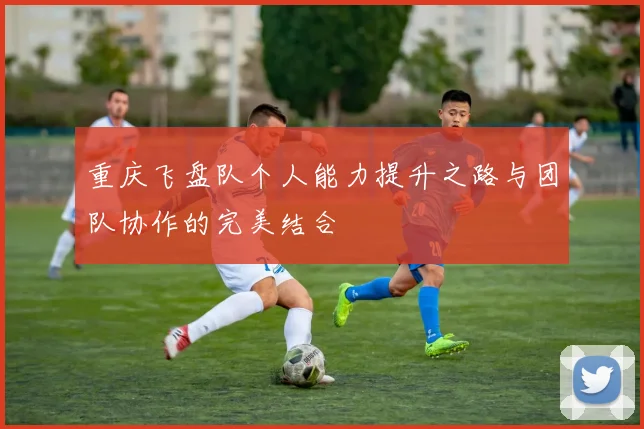 重庆飞盘队个人能力提升之路与团队协作的完美结合