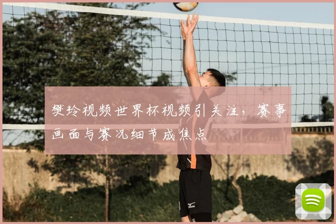 樊玲视频世界杯视频引关注，赛事画面与赛况细节成焦点