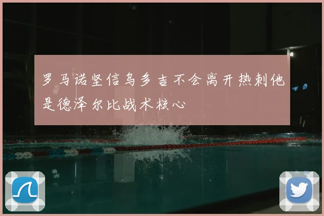 罗马诺坚信乌多吉不会离开热刺他是德泽尔比战术核心